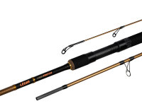 Delphin LEGIA CarpMATCH 360cm/75g/3 Teile