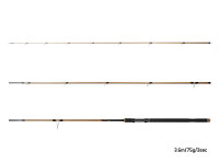 Delphin LEGIA CarpMATCH 360cm/75g/3 Teile