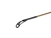 Delphin LEGIA CarpMATCH 360cm/75g/3 Teile