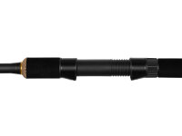 Delphin LEGIA CarpMATCH 360cm/75g/3 Teile