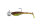 Fox Rage Micro Fry Mixed UV Colour Pack LOADED