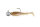 Fox Rage Micro Spikey Fry Mixed UV Colour Pack LOADED