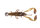 Fox Rage UV Micro Critter 5cm x 4pcs Loaded 3g