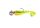 Fox Rage Micro Spikey Fry Mx UV CP LOADED 2g