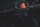 Fox Rage Warrior Baitcaster