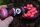 Korda GOO Salmon Supreme