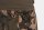 FOX LW Jogger Shorts