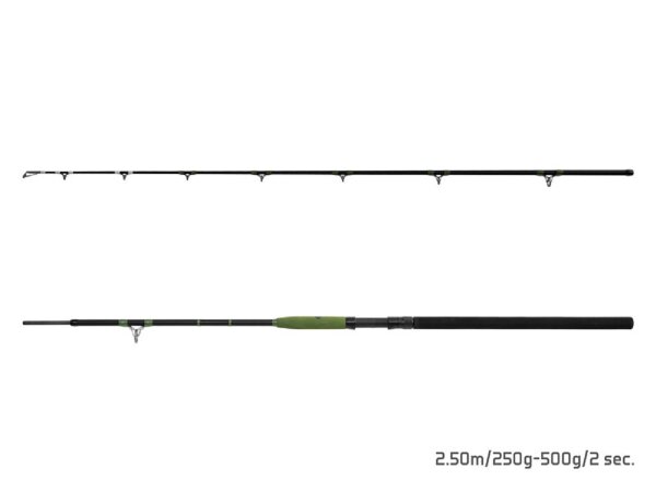 Delphin ENERGY Catfish 250cm/250-500g/2 Teile