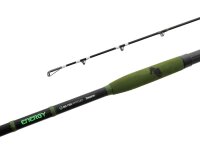 Delphin ENERGY Catfish 280cm/250-500g/2 Teile