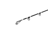 Delphin ENERGY Catfish 280cm/250-500g/2 Teile