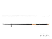 Delphin RaveX 210cm/30g/2 Teile