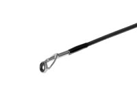 Delphin RaveX 210cm/30g/2 Teile