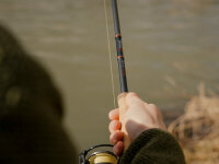 Delphin RaveX 210cm/30g/2 Teile