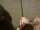 Delphin RaveX 210cm/30g/2 Teile