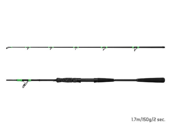 Delphin MonstaX 170cm/150g/2 Teile