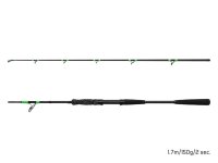 Delphin MonstaX 170cm/150g/2 Teile