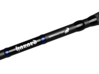 Delphin HAZARD Darx 285cm/500g/2 Teile