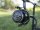 Delphin MAMUT PRO 10T DP Gr. 10000