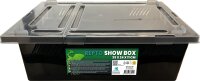 Repto Show Box 35 × 24 × 11 cm –...