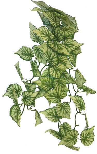 Repto Plant Hanging Hedera 65cm