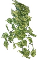 Repto Plant Hanging Hedera 65cm
