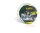 Black Cat Zeus Line G2 Green