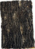 Repto Kork Platte 30 x 20cm