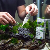 Dupla PlantFix liquid