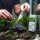 Dupla PlantFix liquid
