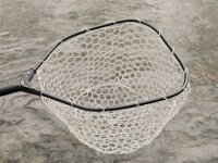 Delphin TroutSPIN