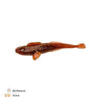 Zeck Finesse Goby | 7 cm BA Motoroil
