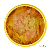 JBL Pronovo Color Flakes M