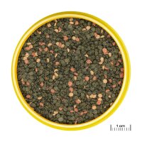 JBL ProNovo Malawi Grano M