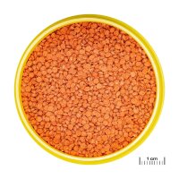 JBL Pronovo Bits Grano M