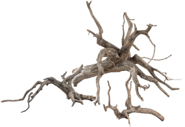 sera Scaper Root
