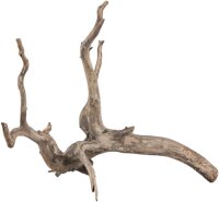 sera Scaper Root