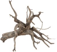 sera Scaper Root