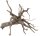 sera Scaper Root