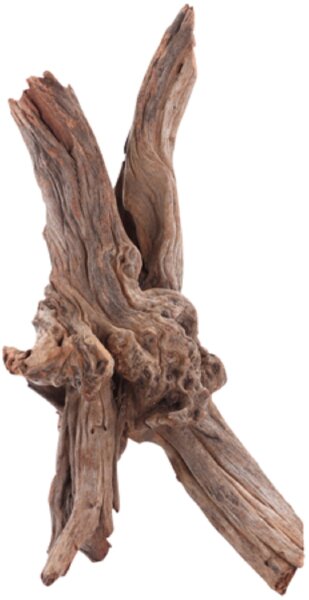 Sera Drift Wood