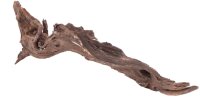 Sera Drift Wood