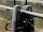 Delphin DETEX 2+1 – Premium Funk-Bissanzeiger-Set