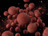 Delphin BreaX Balancierte Boilies/SweetBERRY