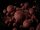 Delphin BreaX Balancierte Boilies/HotHELL