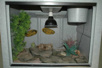 Lucky Reptile Thermo Socket + Reflector