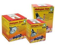 Lucky Reptile Halogen  Sun 100W