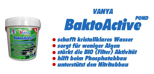 Vanya Teichklar 1000ml