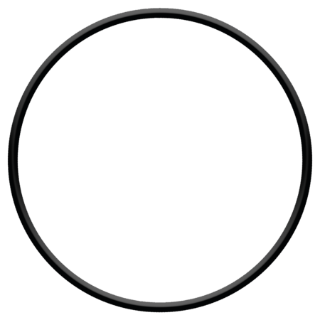 sera pond O-Dichtring für Pumpenkammer