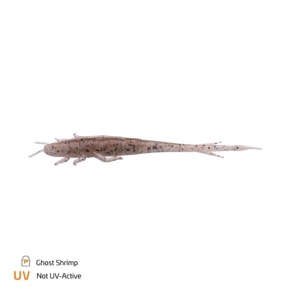 Ghost Shrimp UV Non Active