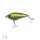 Pike