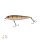 Perch UV Aktive